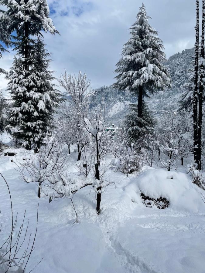 The Doors Inn Manali  Bagian luar foto